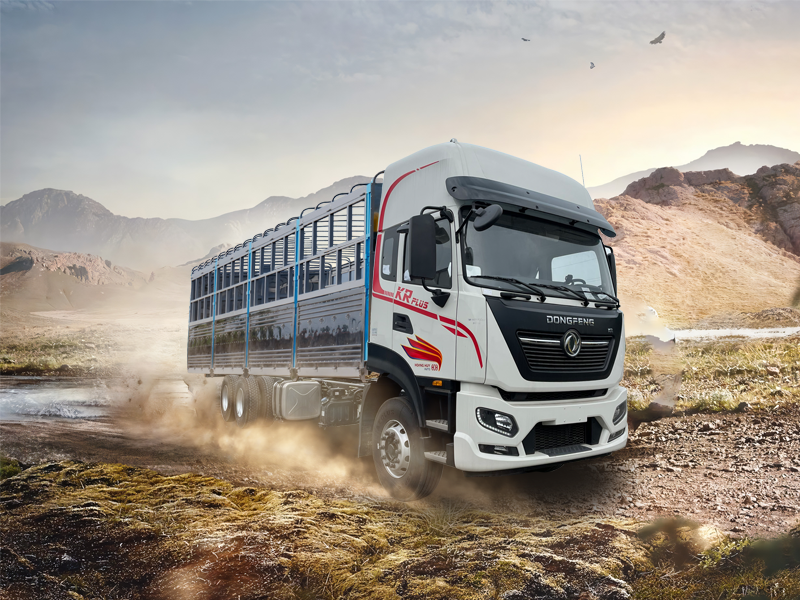 Clip giới thiệu sản phẩm mới Hoang Huy DongFeng 2019